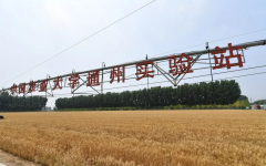 <strong>地寒水冷冬气始水饺一碗</strong>