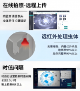 虫情测报仪：科技守护农田金叶智能引领精准农