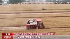 景象形象预告加上数字化监测 小麦“颗粒归仓”